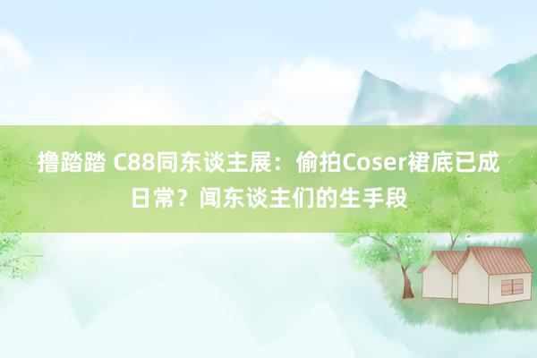 撸踏踏 C88同东谈主展：偷拍Coser裙底已成日常？闻东谈主们的生手段