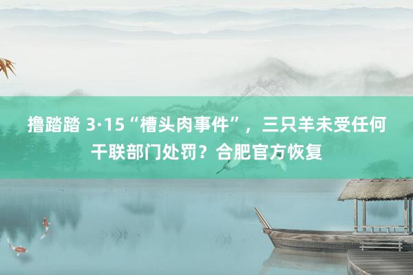 撸踏踏 3·15“槽头肉事件”，三只羊未受任何干联部门处罚？合肥官方恢复