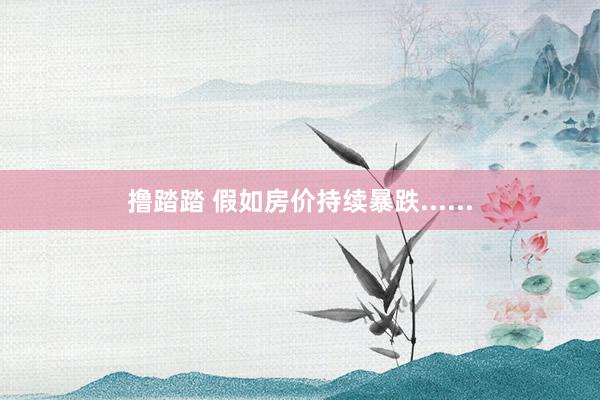撸踏踏 假如房价持续暴跌......