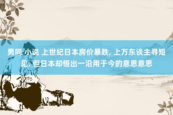 男同 小说 上世纪日本房价暴跌， 上万东谈主寻短见， 但日本却悟出一沿用于今的意思意思