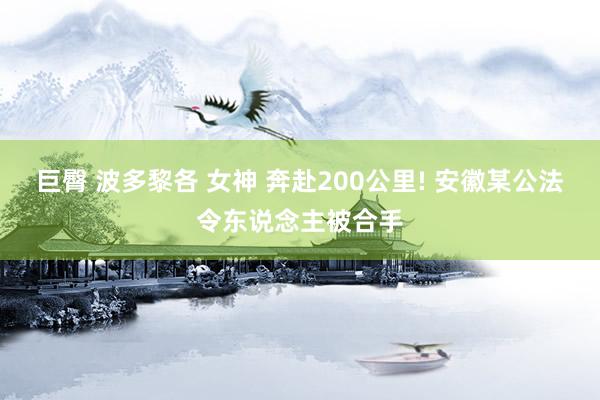 巨臀 波多黎各 女神 奔赴200公里! 安徽某公法令东说念主被合手