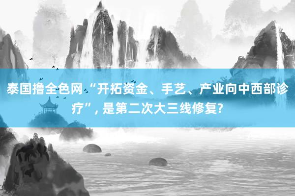 泰国撸全色网 “开拓资金、手艺、产业向中西部诊疗”， 是第二次大三线修复?