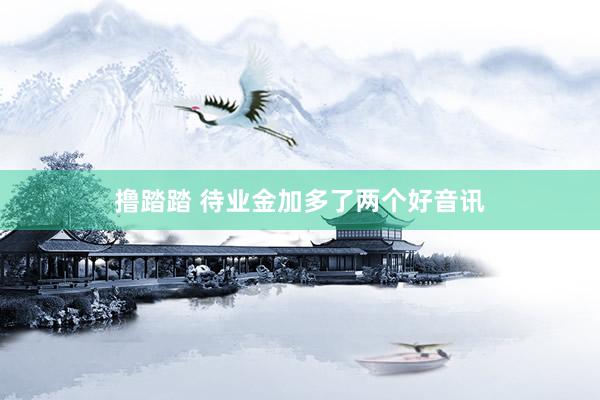 撸踏踏 待业金加多了两个好音讯