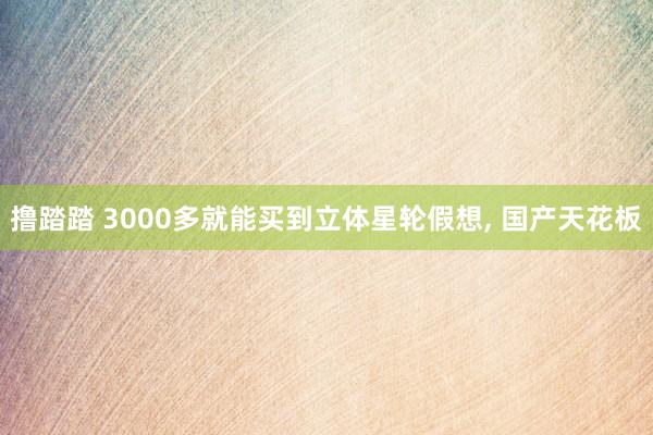 撸踏踏 3000多就能买到立体星轮假想， 国产天花板