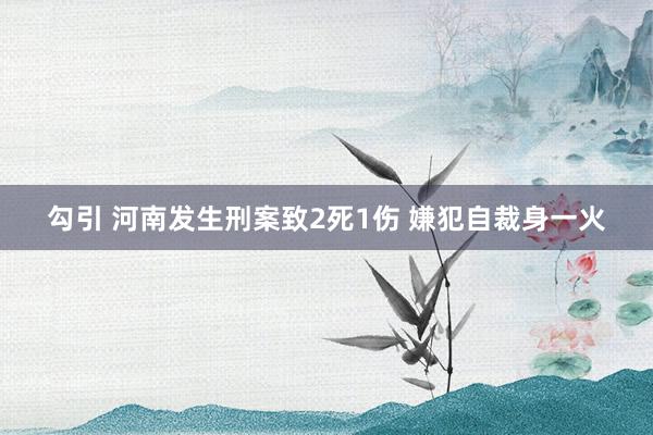 勾引 河南发生刑案致2死1伤 嫌犯自裁身一火