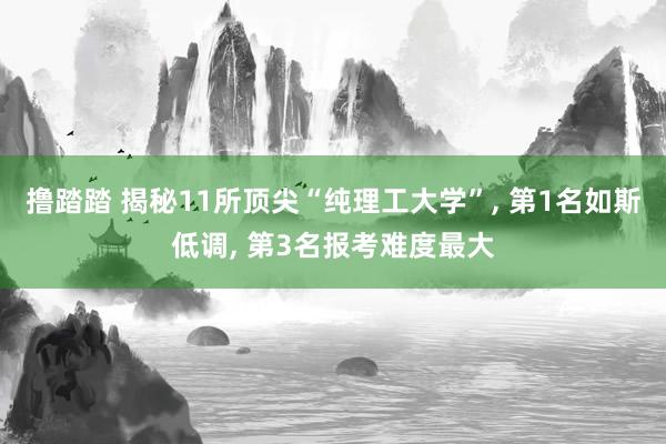 撸踏踏 揭秘11所顶尖“纯理工大学”， 第1名如斯低调， 第3名报考难度最大