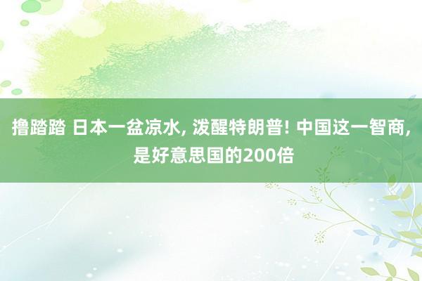 撸踏踏 日本一盆凉水， 泼醒特朗普! 中国这一智商， 是好意思国的200倍