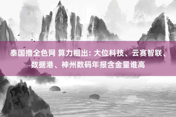 泰国撸全色网 算力租出: 大位科技、云赛智联、数据港、神州数码年报含金量谁高