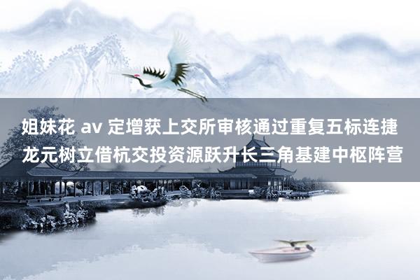 姐妹花 av 定增获上交所审核通过重复五标连捷 龙元树立借杭交投资源跃升长三角基建中枢阵营