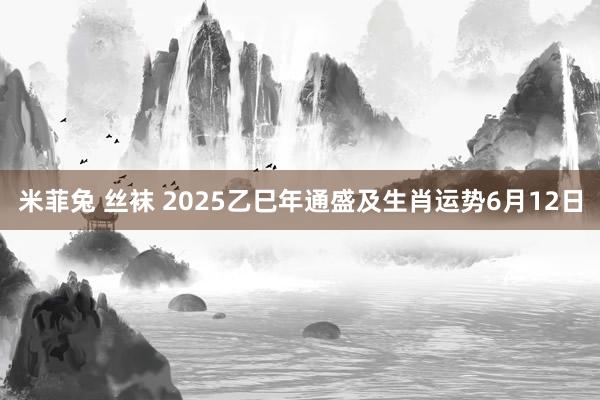 米菲兔 丝袜 2025乙巳年通盛及生肖运势6月12日